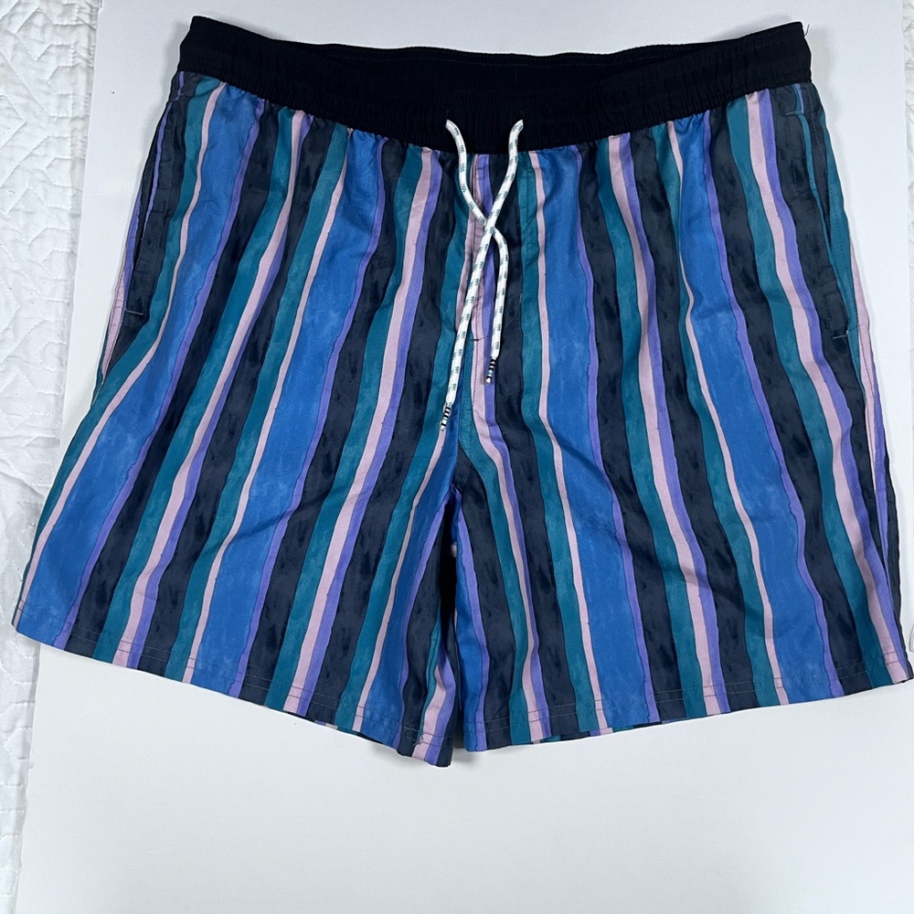 Original Use Multicolor Striped Swim Trunks